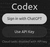A "Sign in with ChatGPT" and a "Use API Key" button